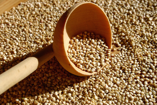 Stelle di giorno Rubrica Consigli Utili Benefici della Quinoa