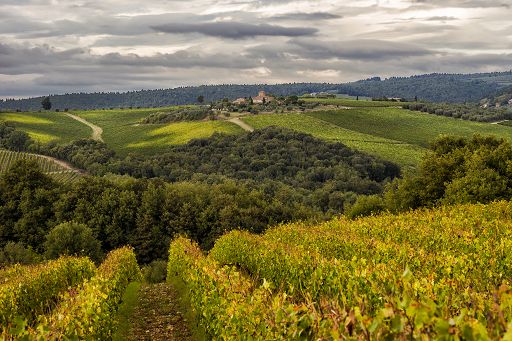 Al via a Cecina il primo corso sul vino in un Istituto turistico toscano