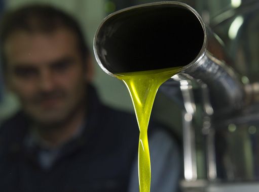 Olio d’oliva, Agrinsieme: Ue ritira modifiche su vendita dello sfuso