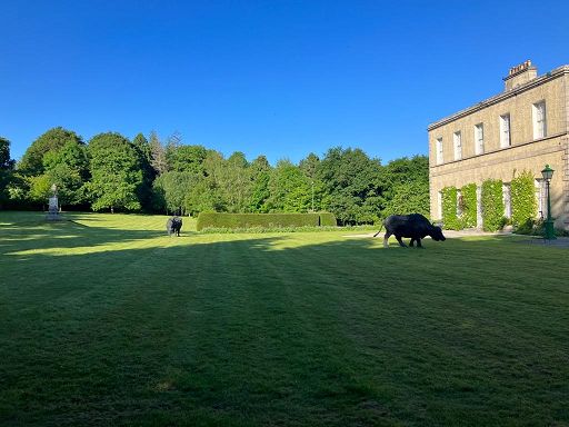 In residenza ambasciatore Italia a Dublino mostra di Davide Rivalta