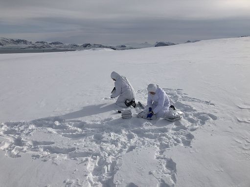 Ricerca, trovate tracce di creme solari nelle nevi del Polo Nord