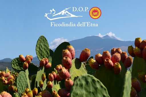 Si insedia Consorzio del Ficodindia dell’Etna: due donne ai vertici