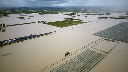 Agricoltura, Condifesa Romagna: in 2023 risarcimenti danni sestuplicati