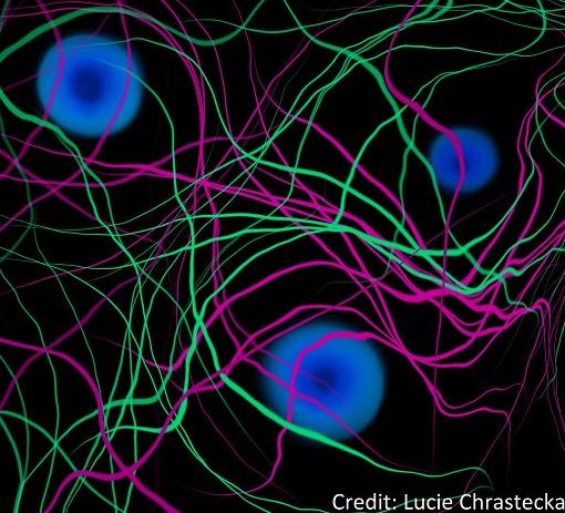 Cosmo: materia oscura potrebbe fare luce su origine campi magnetici