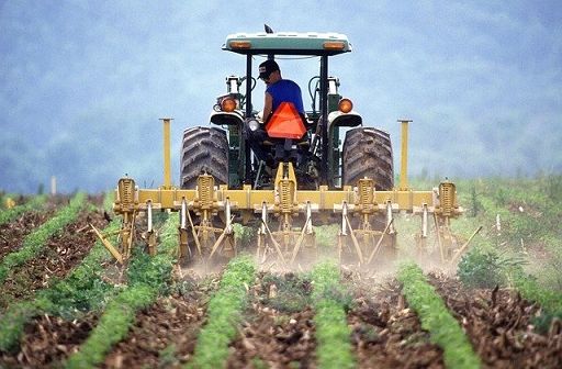 Ciriani: allo studio misura esenzione Irpef redditi agricoli