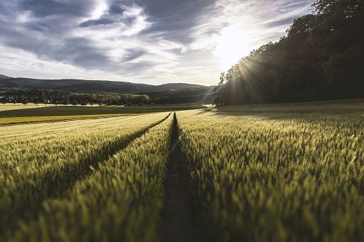 Copa Cogeca: con Ngt da Parlamento Ue prospettive per agricoltura