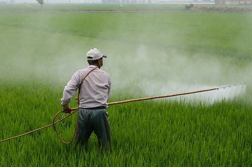 Neurologi Sin ad agricoltori: uso pesticidi sia responsabile