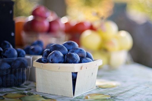 Conserve Italia rilancia progetti filiera in impianti da frutta