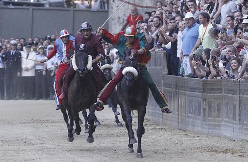 Palio Siena, Cassazione conferma condanna Trecciolino: cavalli maltrattati