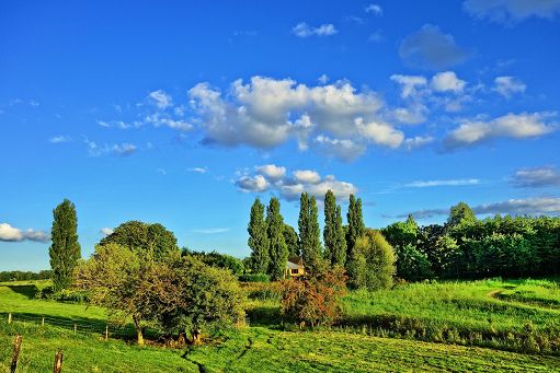 Agriturist E.R.: agriturismi esclusi da bando sostegni eccellenze