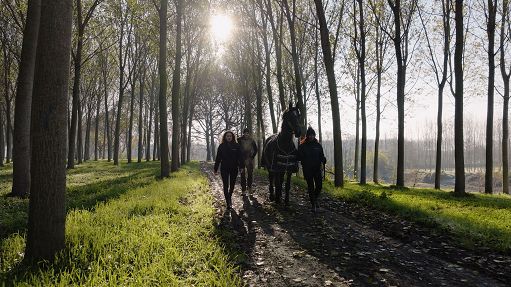 Epiqa presenta speciale tv “Io sono Varenne, il figlio del Vento”