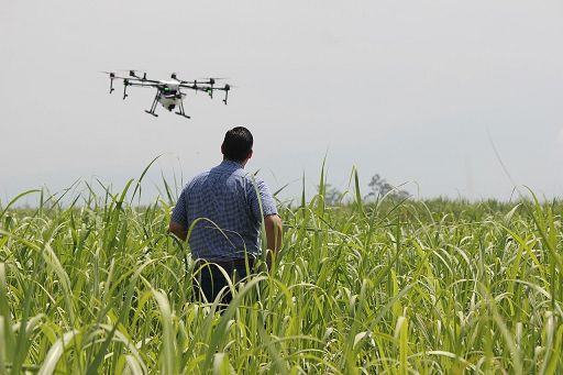 Agroecologia, al via partenariato internazionale per la ricerca