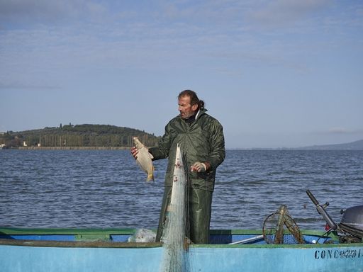 Attività pesca tradizionale del Trasimeno è Presidio Slow Food