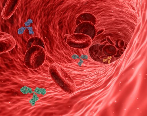 Microplastiche in placche arterie: rischio raddoppiato di infarto o ictus