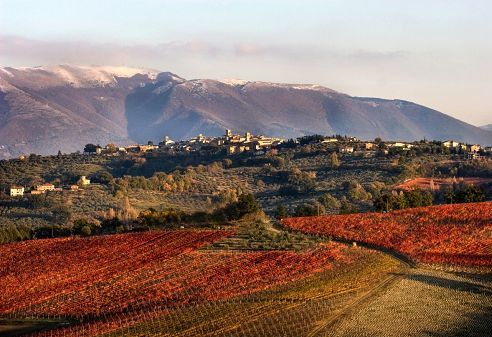 Vino, Umbria Top Wines con 13 Cantine al Padiglione Italia a Prowein