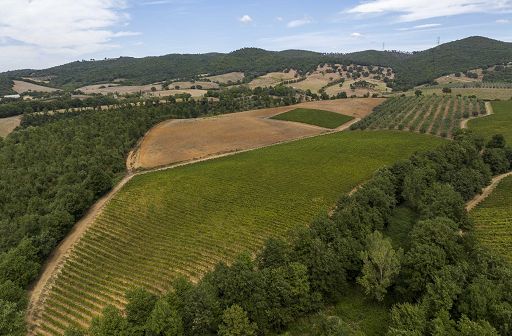 Vino, Consorzio Maremma Toscana a Prowein con 31 vini di 21 Cantine