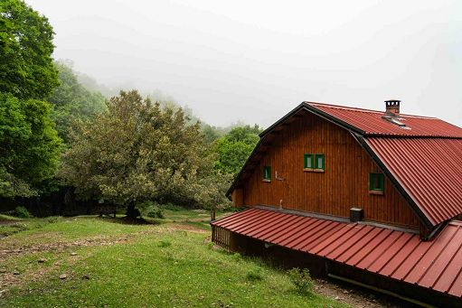 Cultura, è nato LOTs: Libero osservatorio territoriale Sud