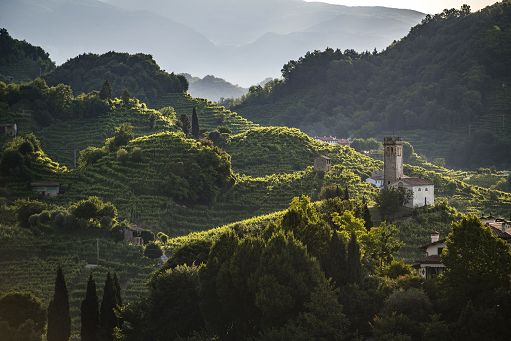 Vino, Giunta Veneto: ok a accordo logistica sostenibile Colline Prosecco