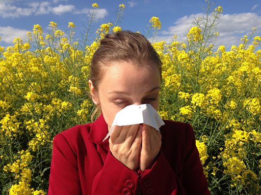 Salute, entro il 2030 quasi 40% italiani soffrirà di rinite allergica