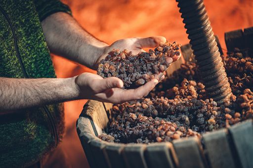 Vino, dal 21 al 30 marzo “DiVinNosiola” anima la Valle dei Laghi