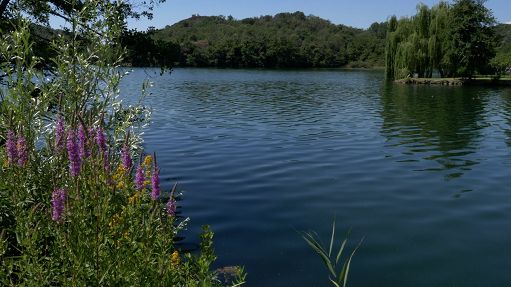 Nasce ufficialmente Parco naturale dei 5 laghi vicino, a Ivrea