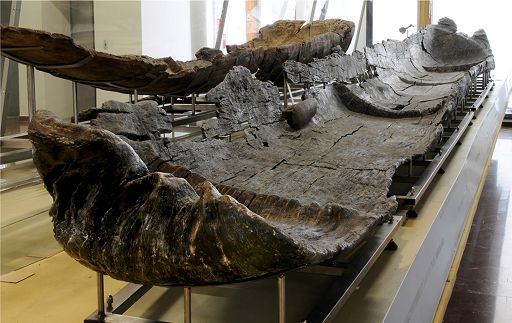 Le canoe neolitiche del Lago di Bracciano hanno più di 7000 anni