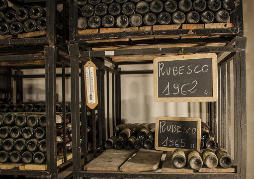 A Vinitaly Lungarotti festeggia 50 anni del Muvit e 60 del Rubesco