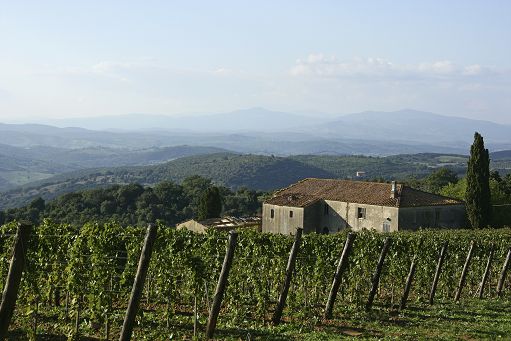 Consorzio Montecucco a Vinitaly con il Sangiovese Docg ma non solo