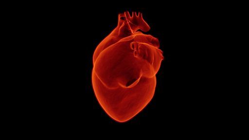 Cuore: micro pompa lo salva quando si “spegne” dopo un infarto