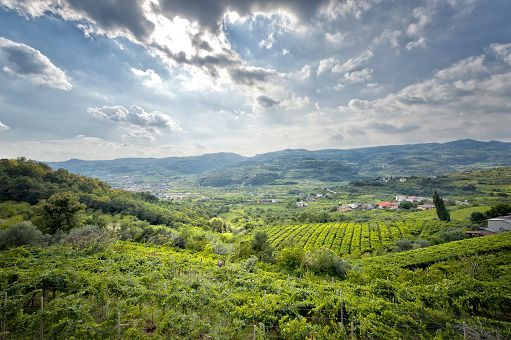 Vino, per il Lessini Durello un Vinitaly tra bollicine, arte e natura