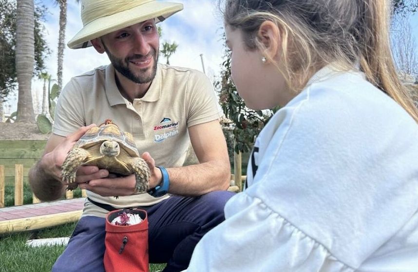 Tutela tartarughe, il 14 giornata speciale a Zoomarine con Turtle Island