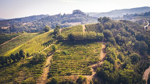 Cantina Torrevilla: nasce il portale oltrepopavese.com, non solo vino