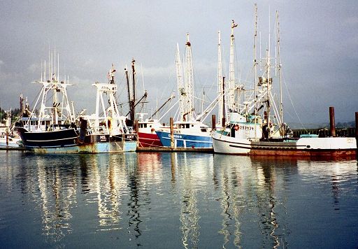 Al via nell’Adriatico progetto su pesca a propulsione elettrica