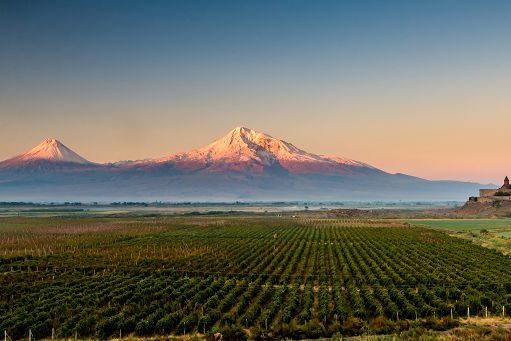 La Conferenza mondiale sul turismo del vino a settembre in Armenia