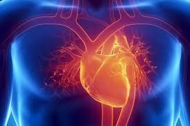 Covid, studio: nei tre anni successivi aumenta rischio cardiovascolare