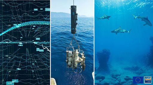 Giornata mondiale oceani, da Enea dati marini più accessibili