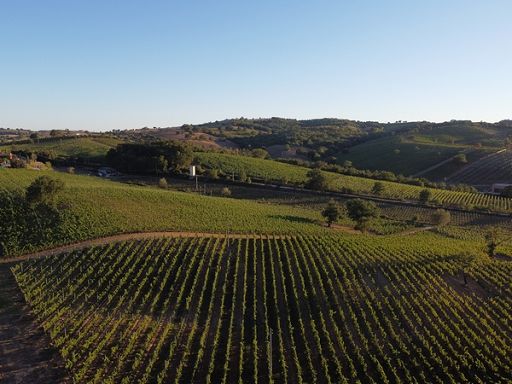 Toscana finanzia con 30mila euro Strade vino olio e sapori