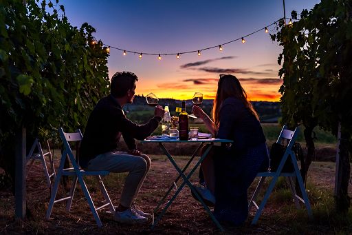 Vino, 15 le Cantine umbre che aderiscono a “Calici di Stelle 2024″