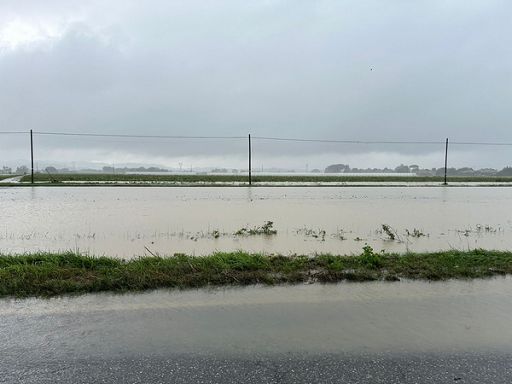 Campi allagati nelle campagne di Forlì e Cesena