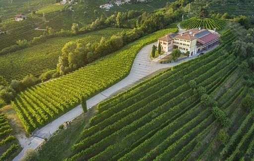 Canevel lancia il “sur lie” San Biagio Brut Nature Valdobbiadene Docg