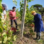 A Grottaferrata il primo “Bio Tour” per raccontare l’agricoltura bio