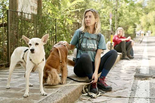 “Cammino per gli animali” da Assisi a Roma per difendere diritti