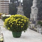 Milano, Comune assegna all’asta edicola funeraria per 2,45 mln