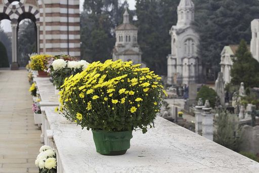 Milano, Comune assegna all’asta edicola funeraria per 2,45 mln