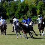 Campionato Italiano U.S. Polo Assn., numeri record per edizione 2024