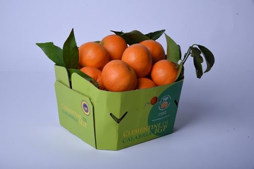 Dopo disciplinare Clementine Calabria Igp puntano su promozione