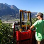 I “Tre Bicchieri” del Gambero Rosso a 5 vini della Valle d’Aosta