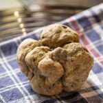 Ad aeroporto delle Marche la fiera del tartufo di Pergola