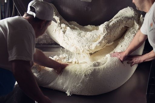 Torna il corso per diventare casari della Mozzarella di bufala Dop