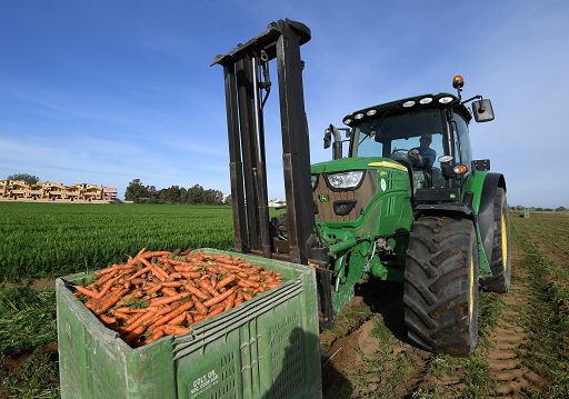 FoodSeed: scelte le 7 startup italiane per innovare filiera agroalimentare